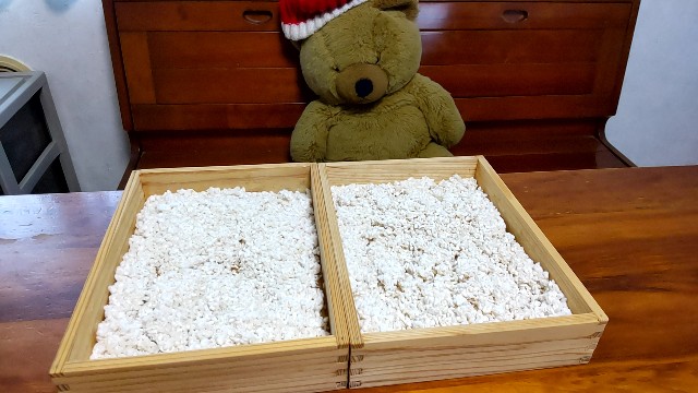 f:id:arimahama:20230401194117j:image f:id:arimahama:20230401194117j:image