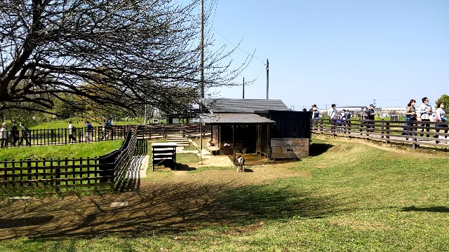 f:id:arimahama:20230401194401j:image f:id:arimahama:20230401194401j:image