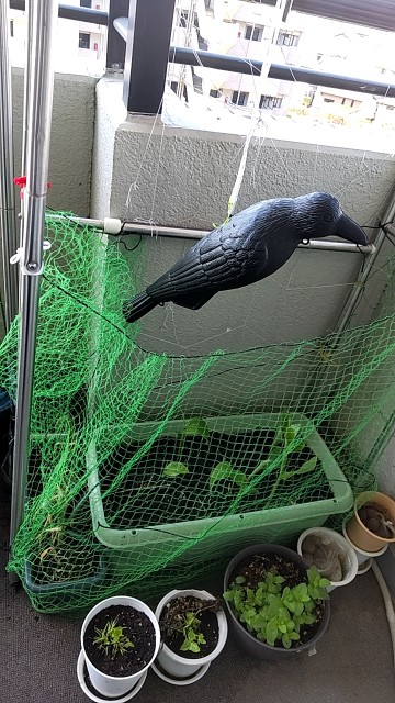 f:id:arimahama:20230410200455j:image