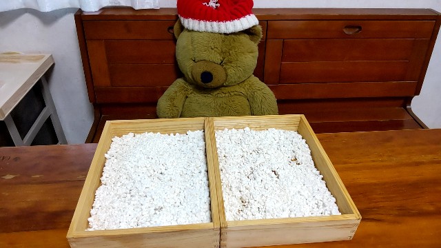 f:id:arimahama:20230415231502j:image f:id:arimahama:20230415231502j:image