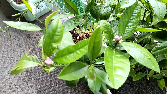 f:id:arimahama:20230418230759j:image f:id:arimahama:20230418230759j:image