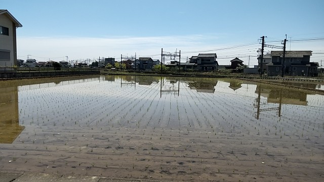 f:id:arimahama:20230419222742j:image