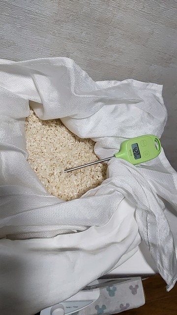 f:id:arimahama:20230428034646j:image f:id:arimahama:20230428034646j:image