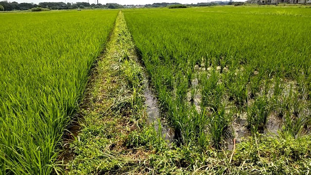 f:id:arimahama:20230621202230j:image f:id:arimahama:20230621202230j:image