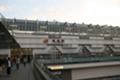 IMG_8456.JPG