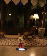 テルメヴェネツィア