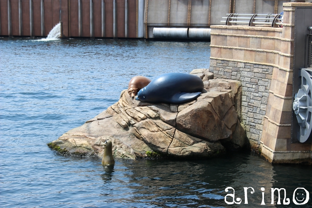 ポートディスカバリー ポートディスカバリー