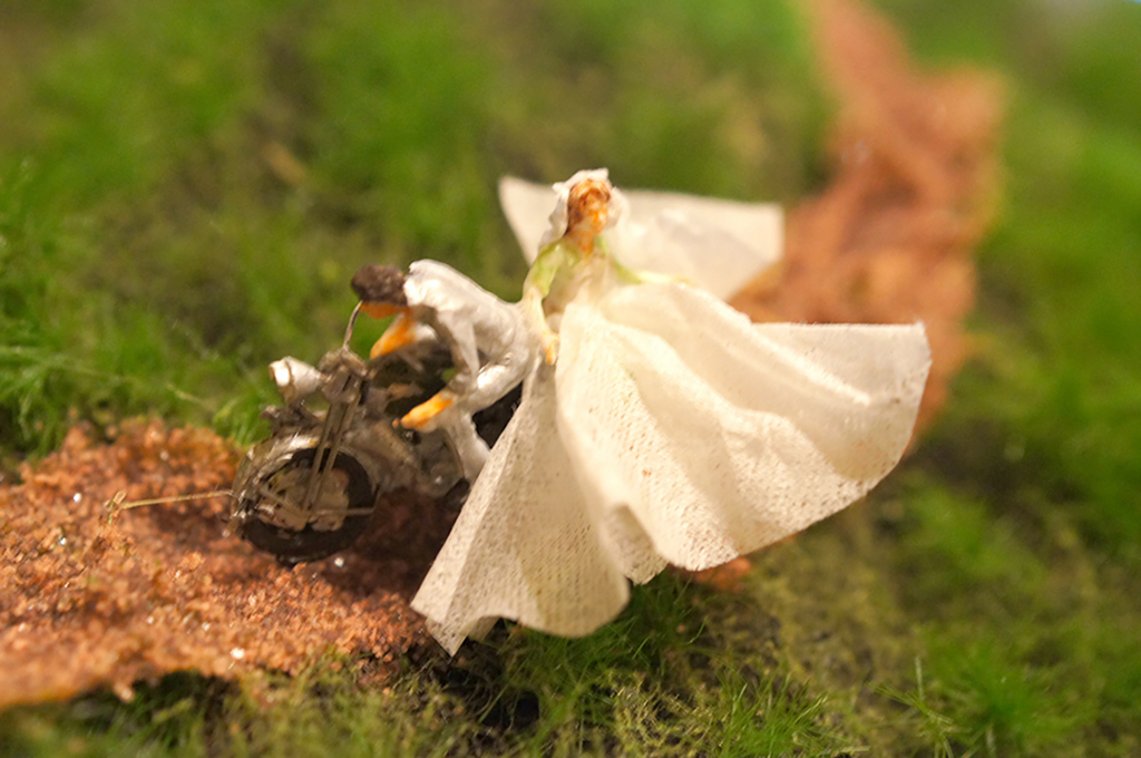 f:id:arimoo:20140627005415j:plain