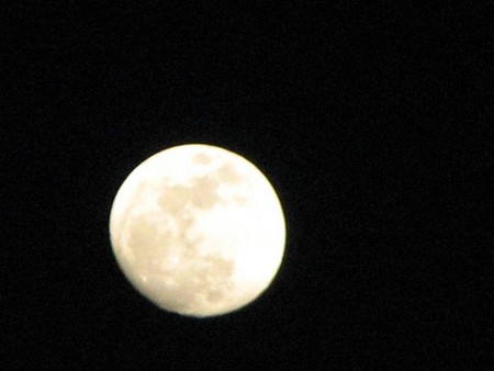 f:id:arimsk:20070502161848j:image