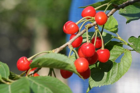 f:id:arimsk:20070505073652j:image:right