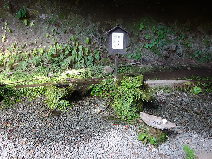 f:id:arimushi:20211102150606j:plain