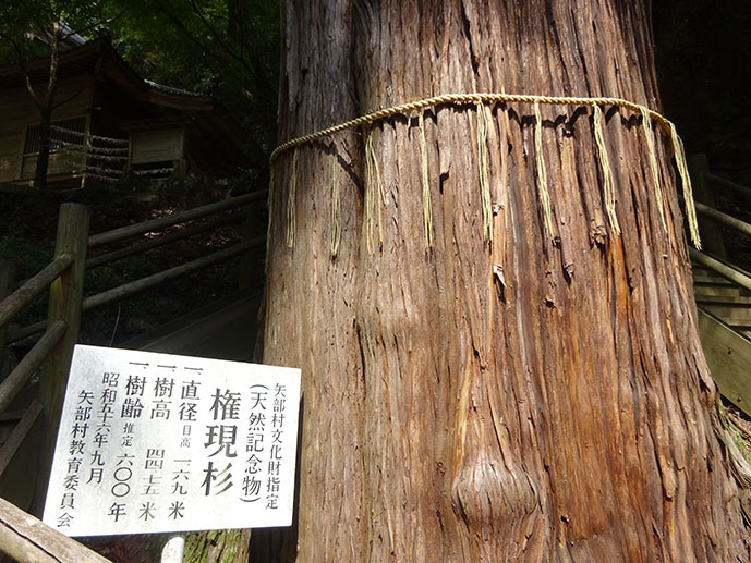f:id:arimushi:20211102150658j:plain