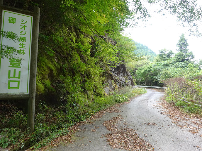 f:id:arimushi:20211102151005j:plain