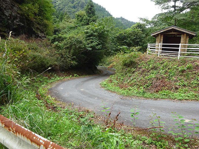 f:id:arimushi:20211102151016j:plain