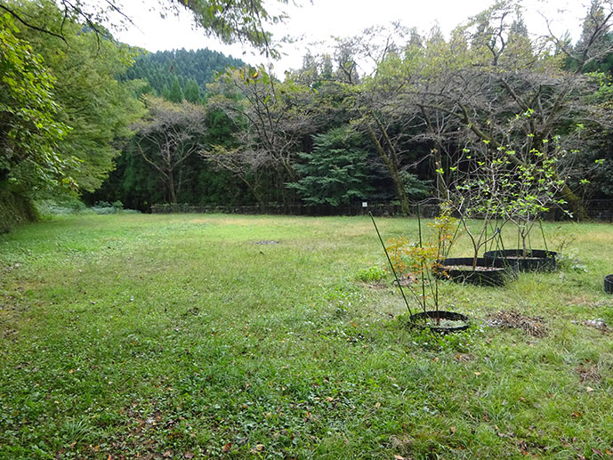 f:id:arimushi:20211102151124j:plain