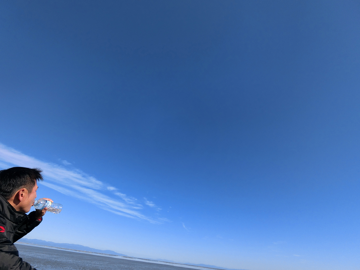 f:id:arimushi:20211202131603j:plain