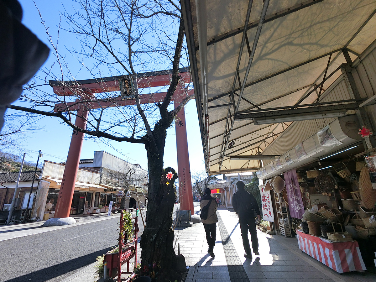 f:id:arimushi:20211202131651j:plain