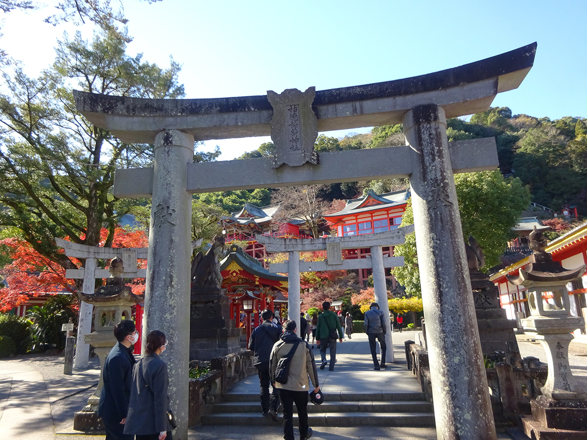 f:id:arimushi:20211202131700j:plain