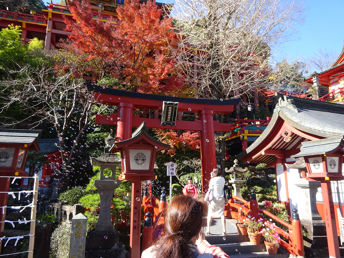 f:id:arimushi:20211202131754j:plain