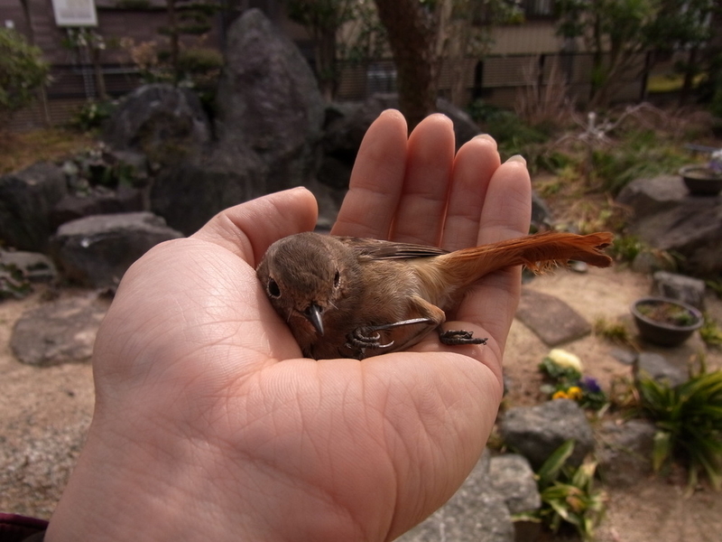 イメージ 3