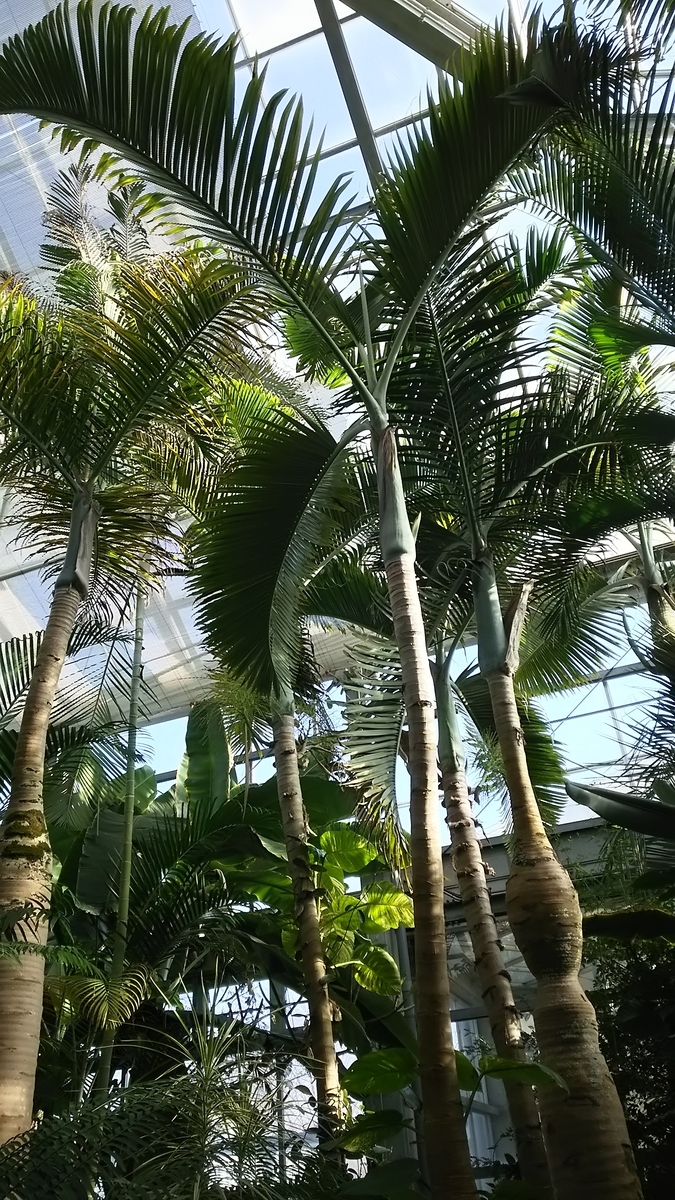 f:id:aringo_travel:20190530125820j:plain f:id:aringo_travel:20190530125820j:plain