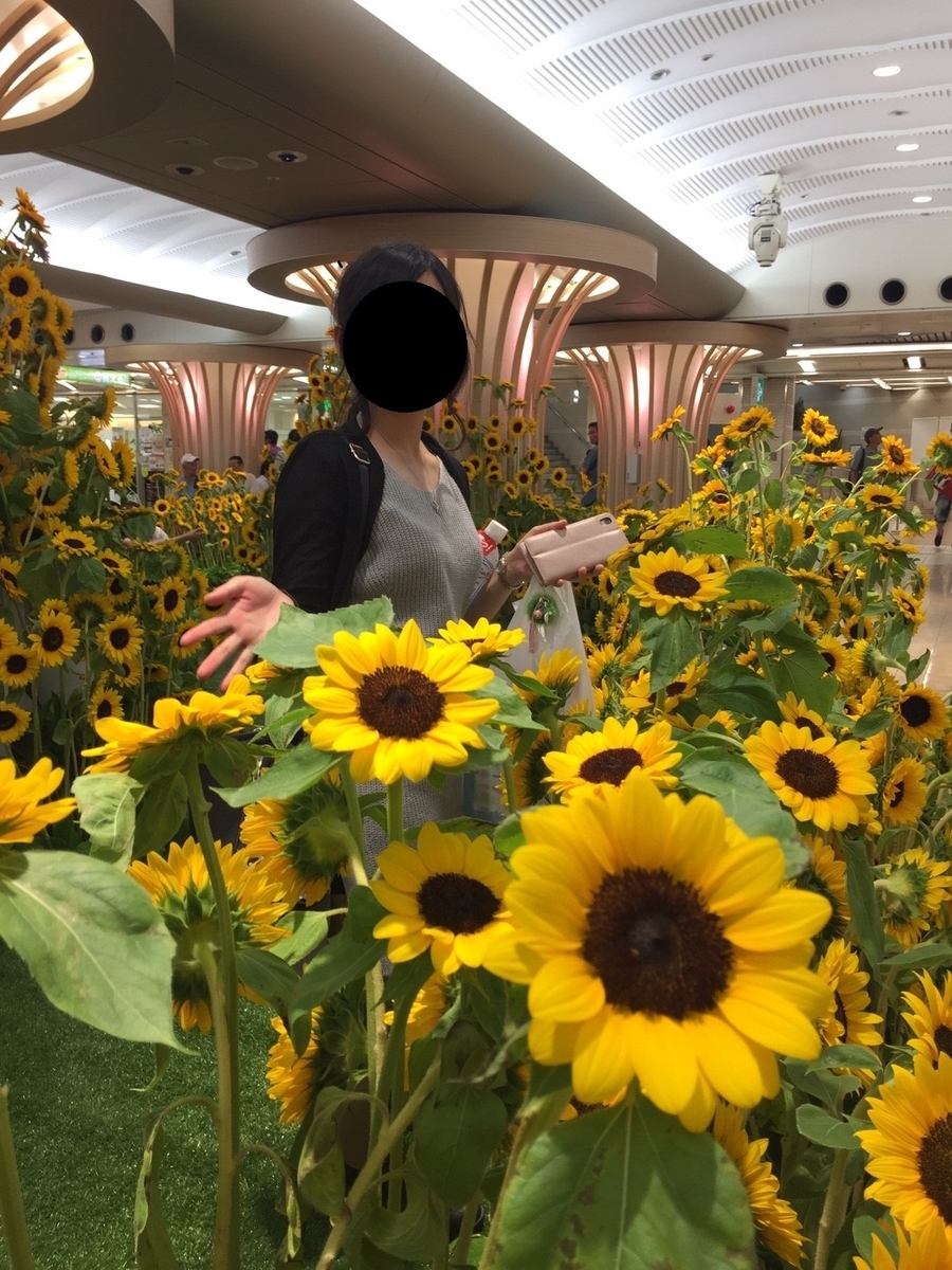 f:id:aringo_travel:20190917121628j:plain