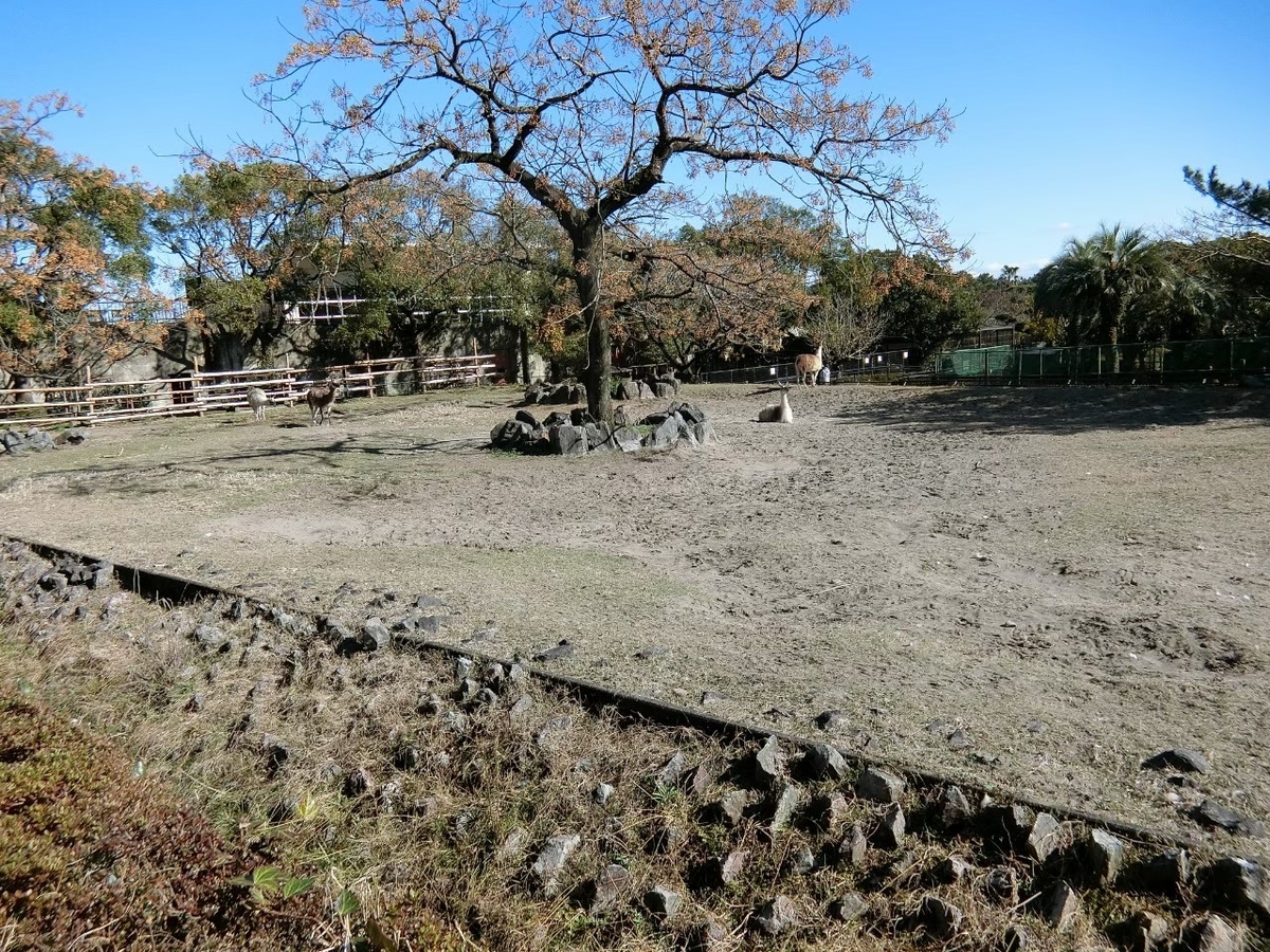 f:id:aringo_travel:20200712161644j:plain f:id:aringo_travel:20200712161644j:plain