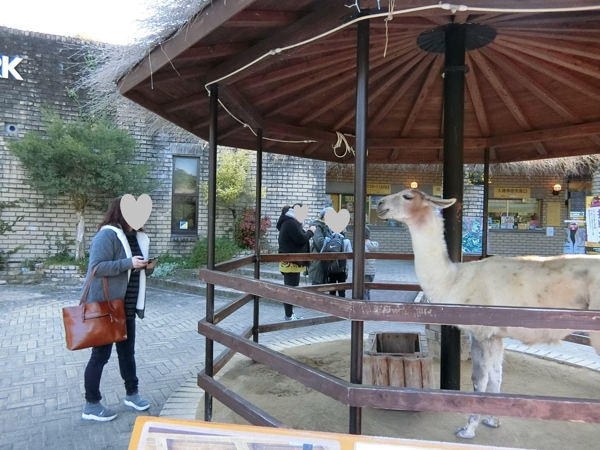 f:id:aringo_travel:20200729234009j:plain f:id:aringo_travel:20200729234009j:plain