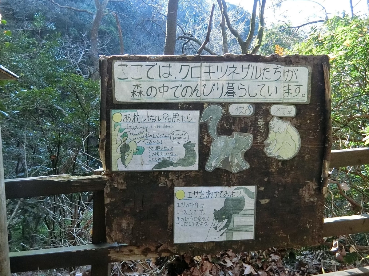 f:id:aringo_travel:20200729234558j:plain f:id:aringo_travel:20200729234558j:plain