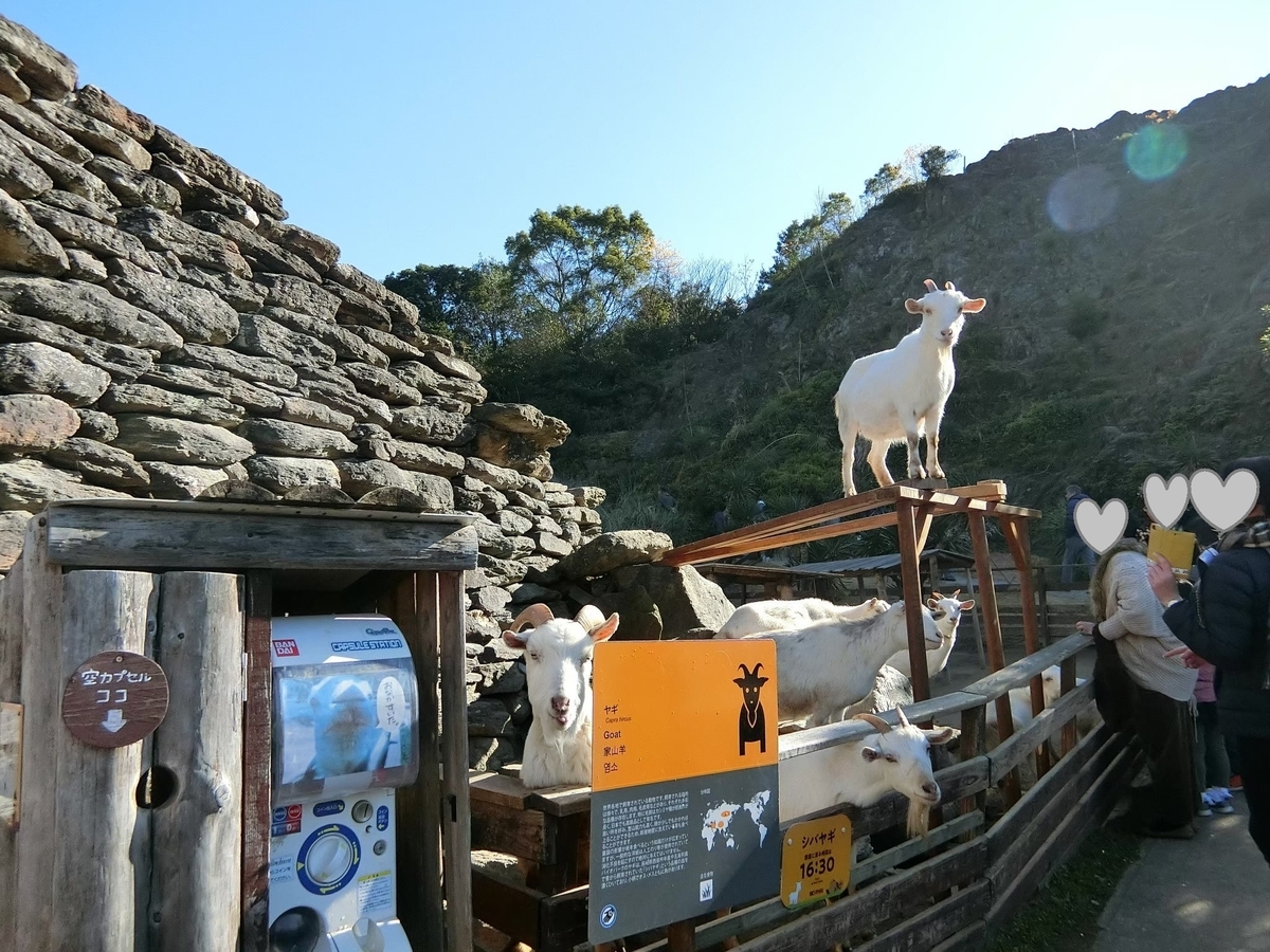 f:id:aringo_travel:20200729235210j:plain f:id:aringo_travel:20200729235210j:plain