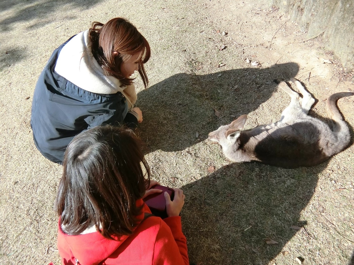 f:id:aringo_travel:20200730001013j:plain f:id:aringo_travel:20200730001013j:plain