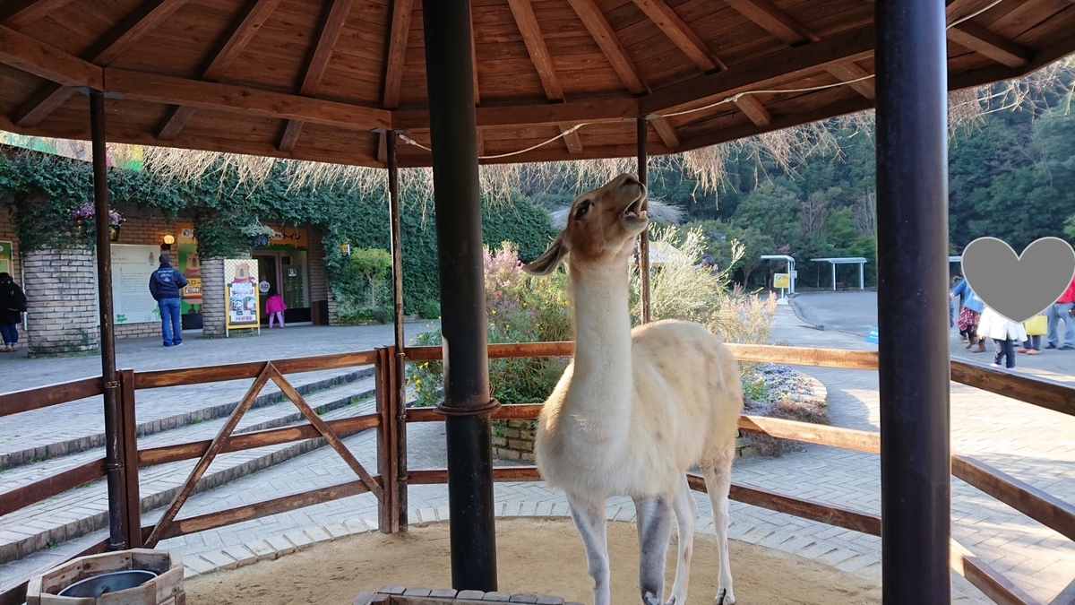 f:id:aringo_travel:20200730001948j:plain f:id:aringo_travel:20200730001948j:plain