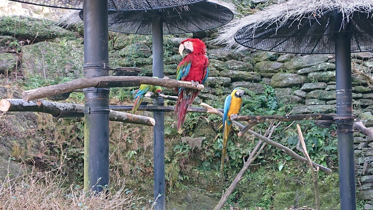 f:id:aringo_travel:20200730002307j:plain f:id:aringo_travel:20200730002307j:plain