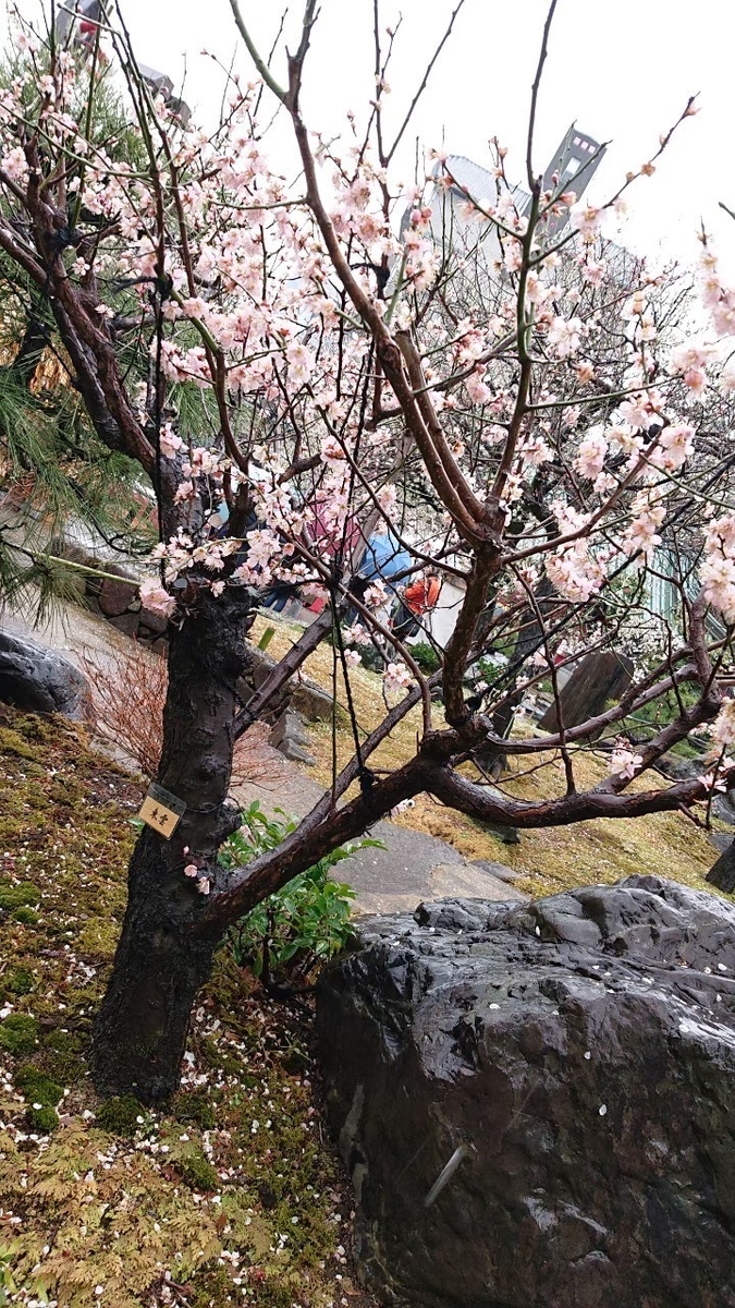 f:id:aringo_travel:20201025202525j:plain