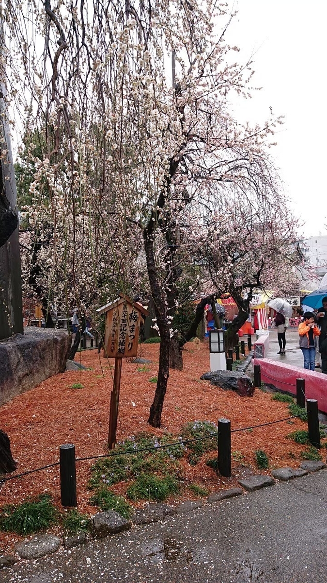 f:id:aringo_travel:20201025202608j:plain