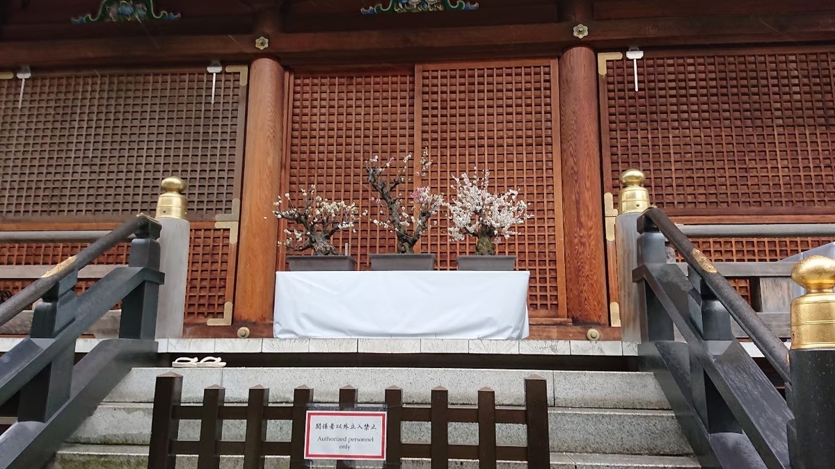 f:id:aringo_travel:20201025204109j:plain