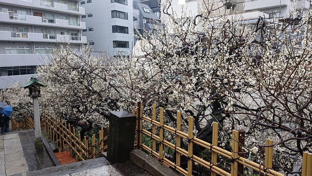 f:id:aringo_travel:20201025204156j:plain