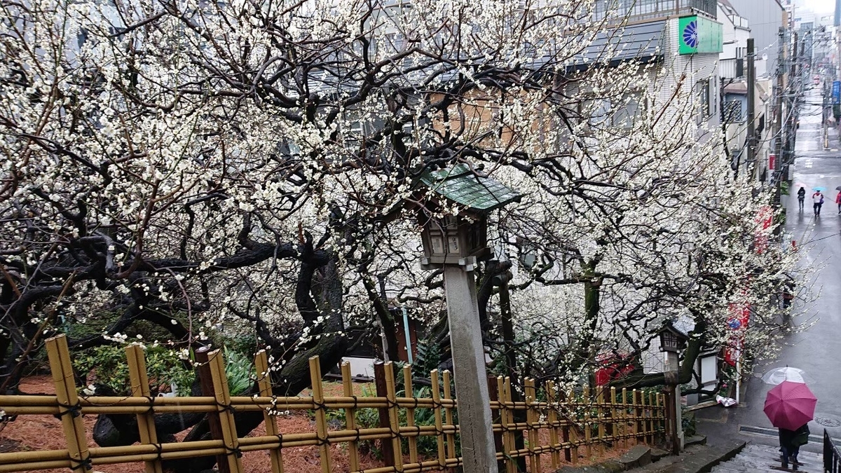 f:id:aringo_travel:20201025204346j:plain