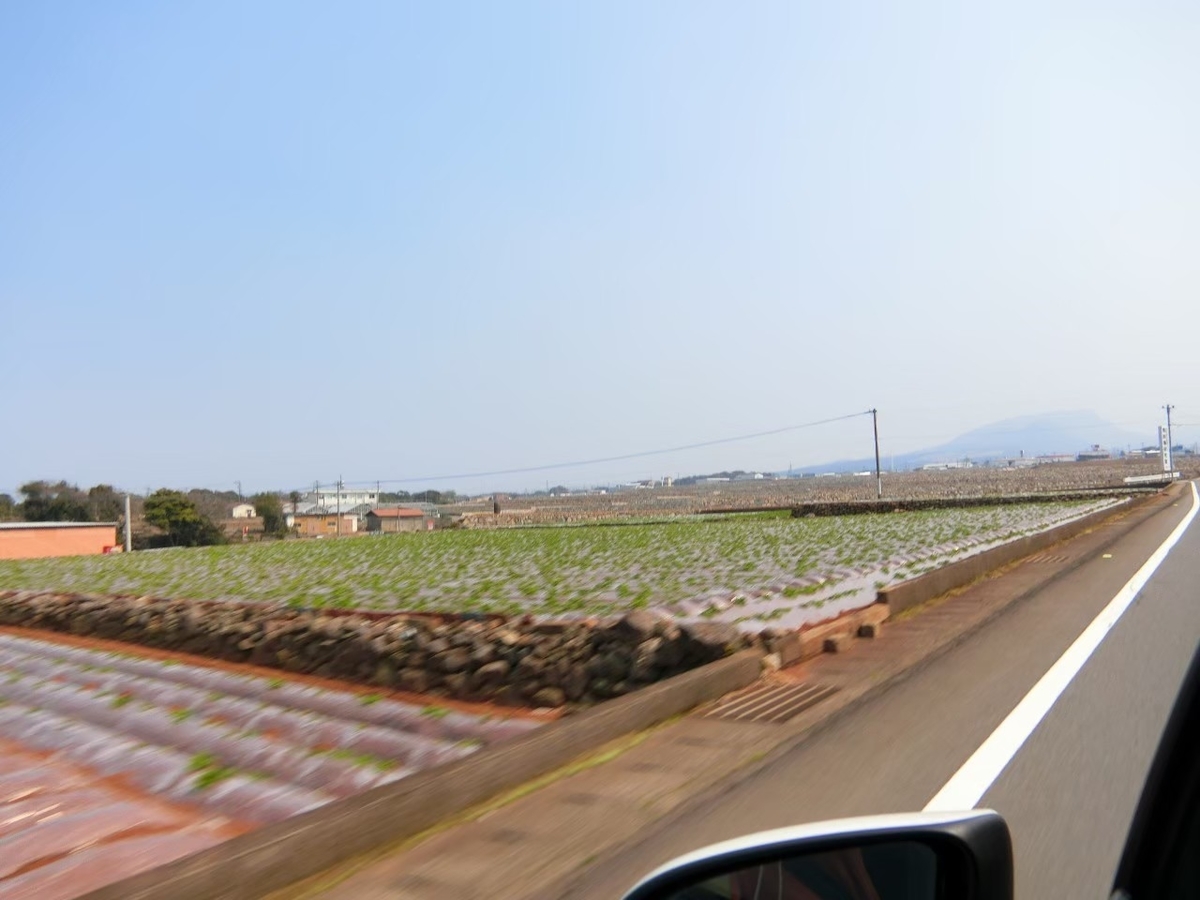 f:id:aringo_travel:20201115211154j:plain f:id:aringo_travel:20201115211154j:plain