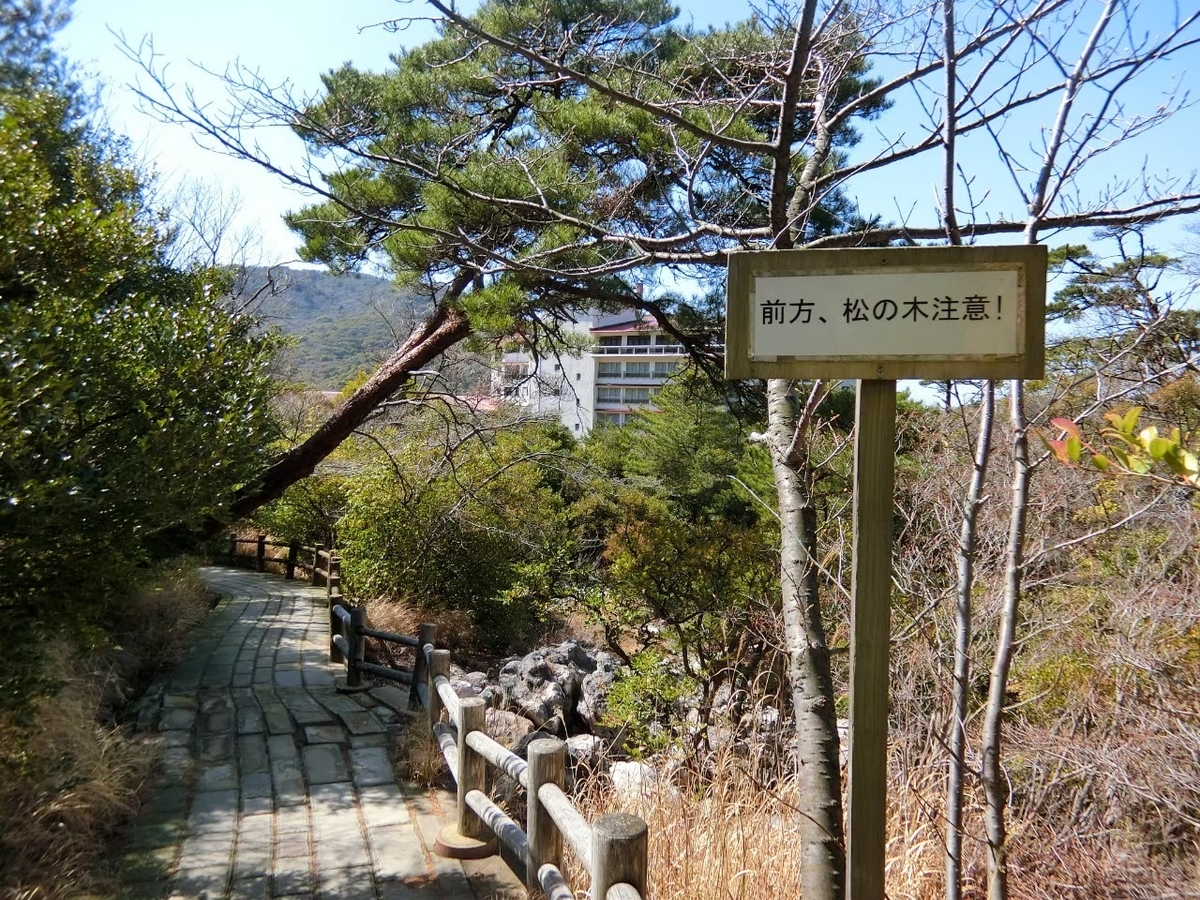 f:id:aringo_travel:20201115215013j:plain f:id:aringo_travel:20201115215013j:plain