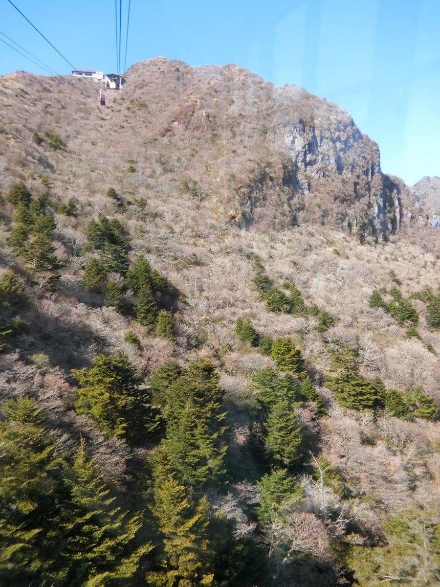 f:id:aringo_travel:20201115220749j:plain f:id:aringo_travel:20201115220749j:plain