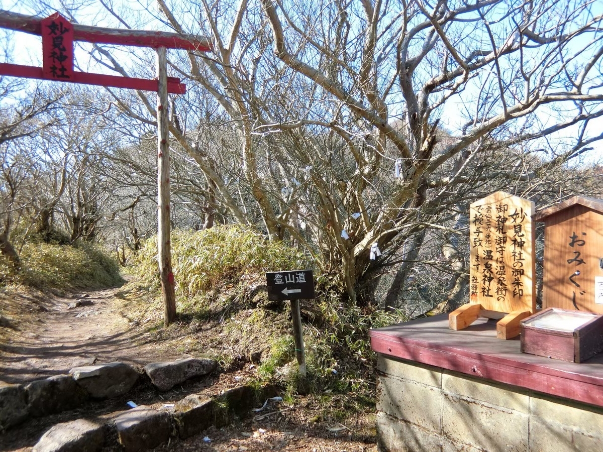 f:id:aringo_travel:20201115220919j:plain f:id:aringo_travel:20201115220919j:plain