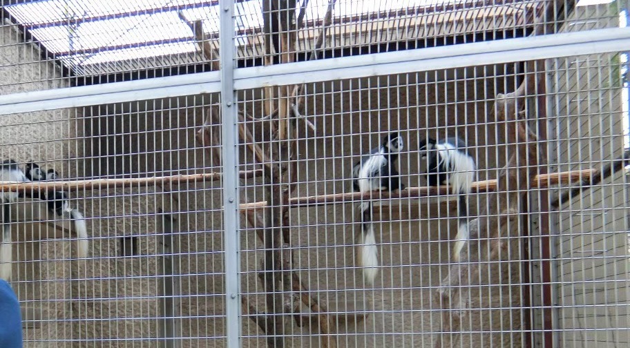f:id:aringo_travel:20201215134919j:plain