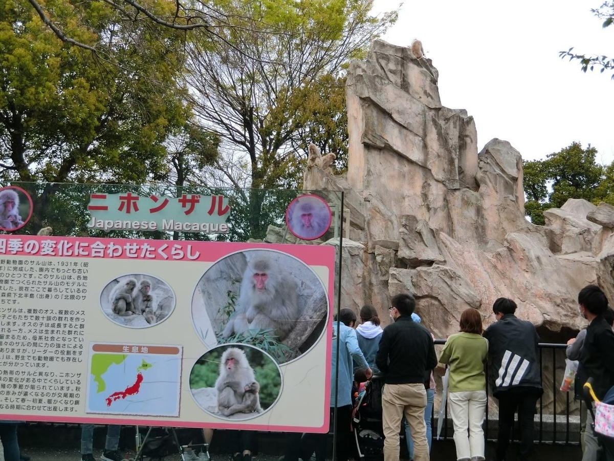f:id:aringo_travel:20201215135040j:plain