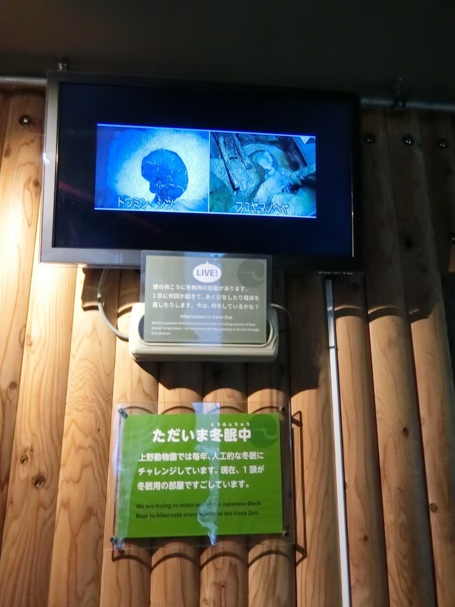 f:id:aringo_travel:20201215135204j:plain