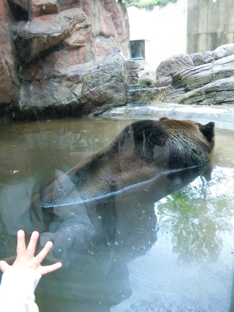 f:id:aringo_travel:20201215135246j:plain
