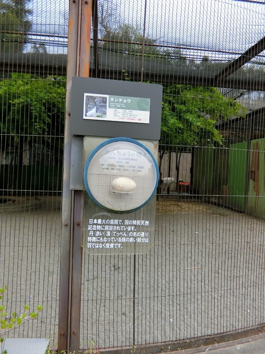 f:id:aringo_travel:20201215135315j:plain