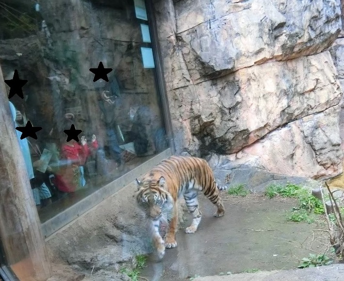 f:id:aringo_travel:20201215140759j:plain