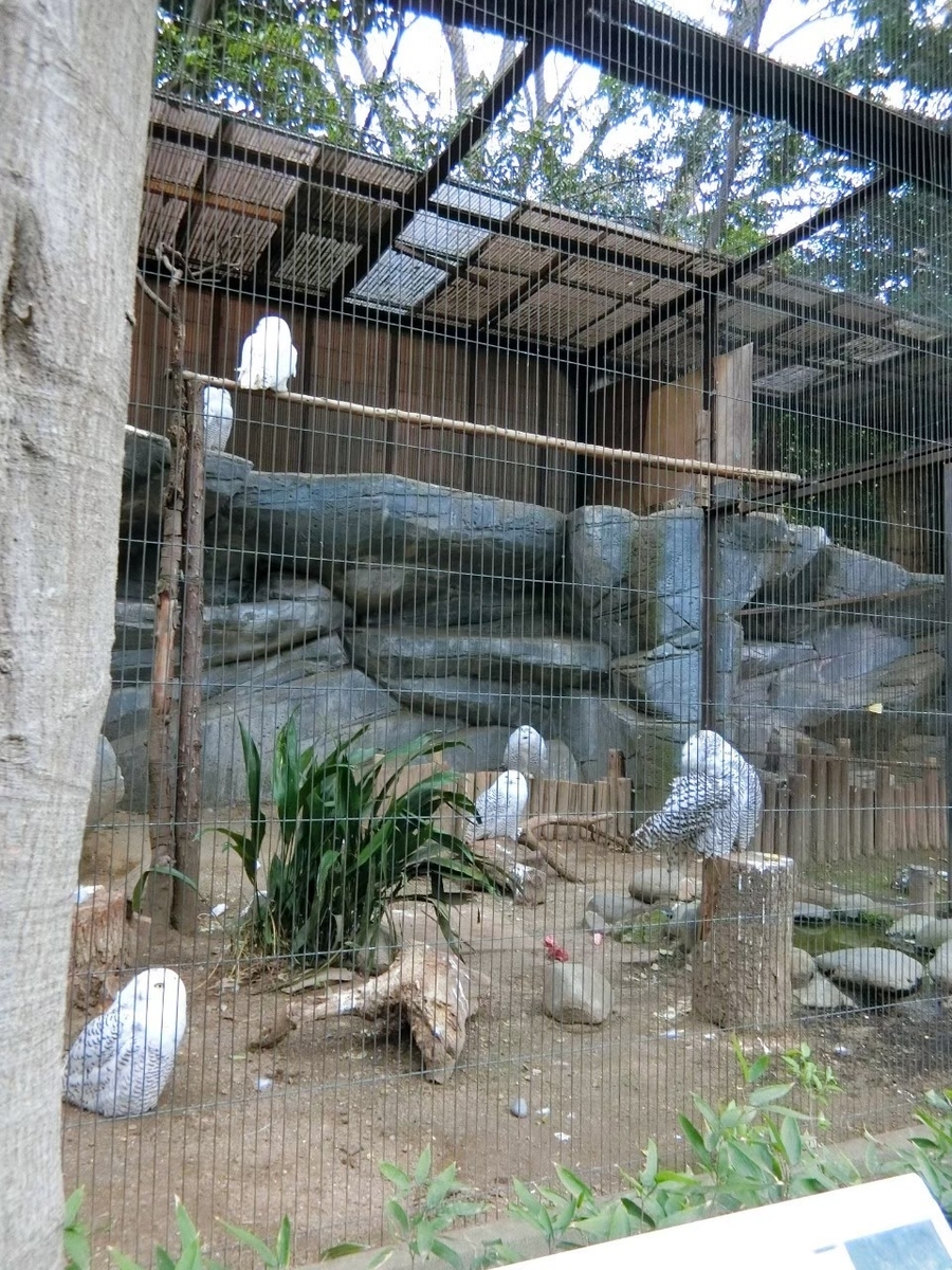 f:id:aringo_travel:20201215140918j:plain