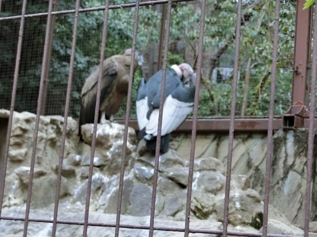 f:id:aringo_travel:20201215140933j:plain